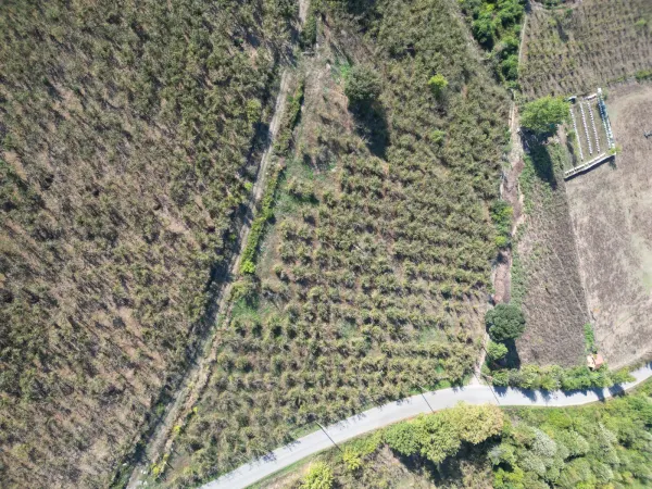 Satılık Arsa - Tagorek Mahallesi, 9530 m² — görsel 2