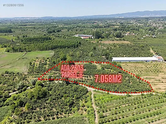 MERİÇ ÇAYRAK'TAN A.ÇARIĞIKURU/ÇAMLICADA 7.058 M2 SATILIK TARLA