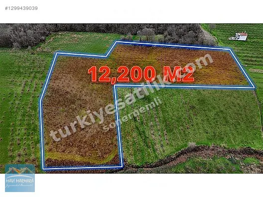 LÜTFİYE KÖŞK MAHALLESİ 12.200 M2 FINDIK BAHÇESİ